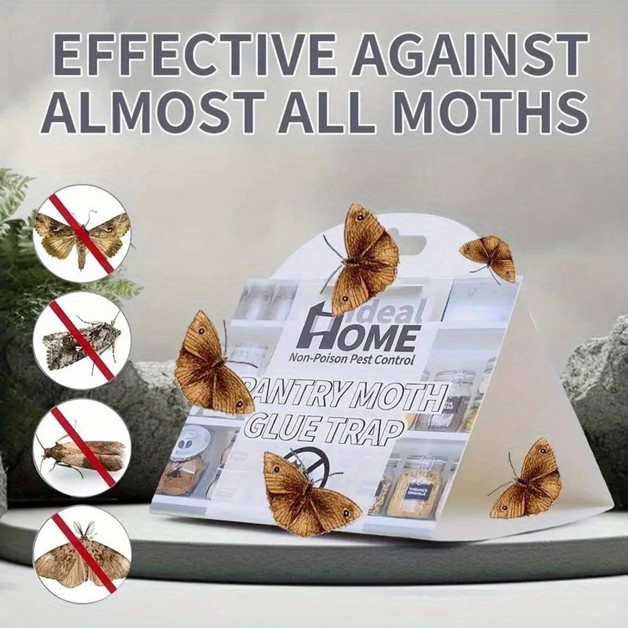 Fruit Fly Traps Quantity 10Pcs