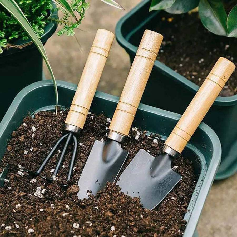 Garden Supplies Color 4 Piece Set