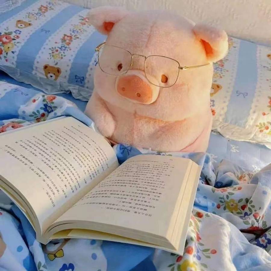 Plush Toyss color Lulu