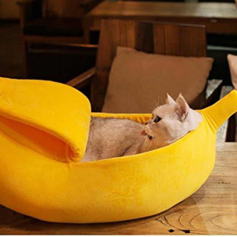 Pet supplies color Yellow size S