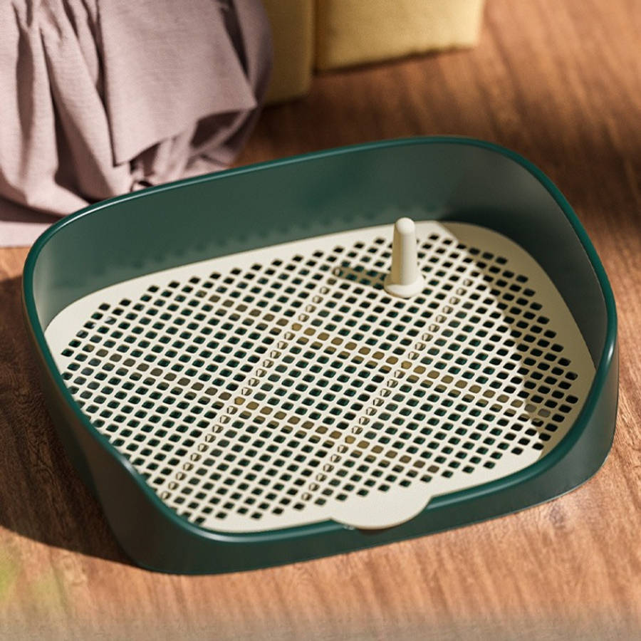 Pet supplies color Vintage Green