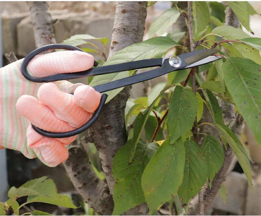 Garden Supplies Color 18.5Cm Garden Shears
