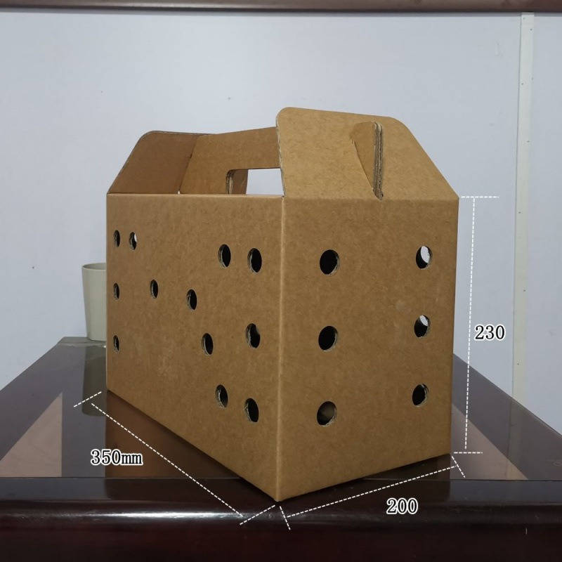 Pet Supplies Quantity 6Pcs