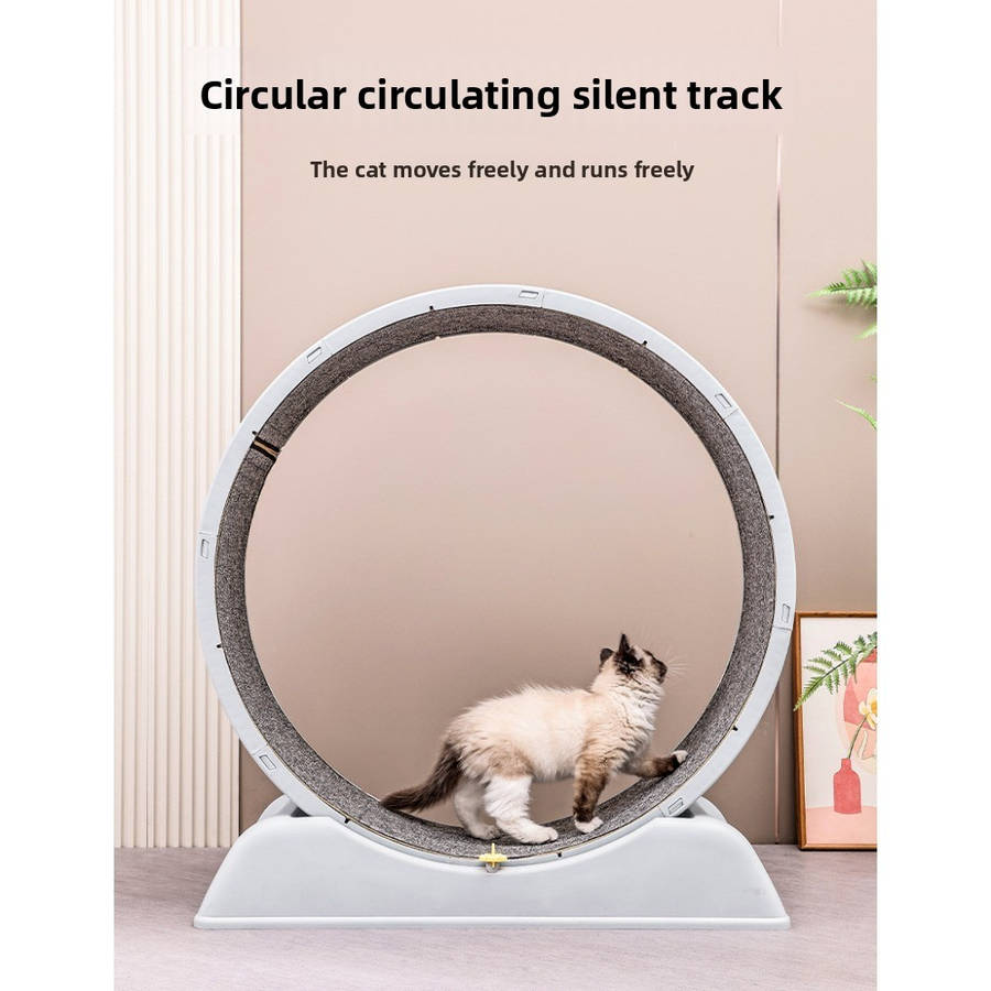 Pet supplies color Blue