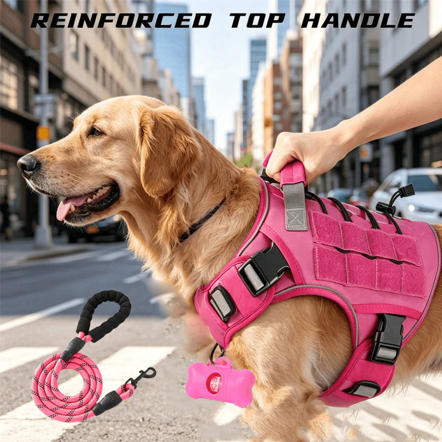 Dog Leash Color 1 Black Chest HarnessReflective LeashDog Waste Bag Size S