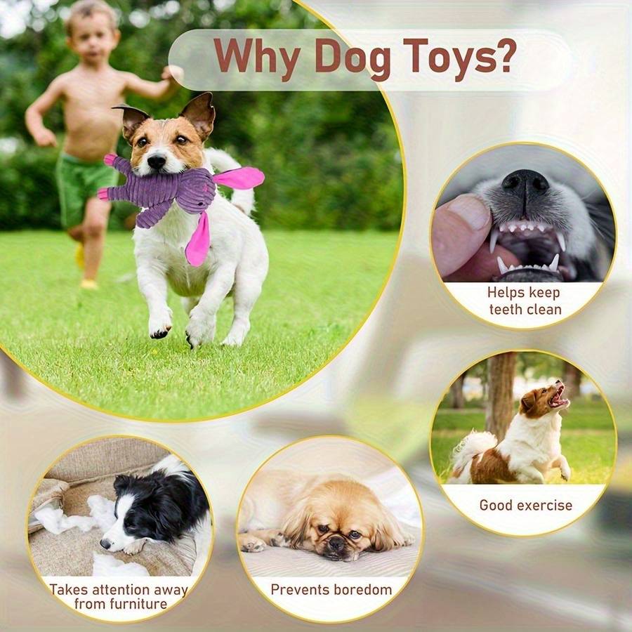 Plush Toyss color 5 pieces pack