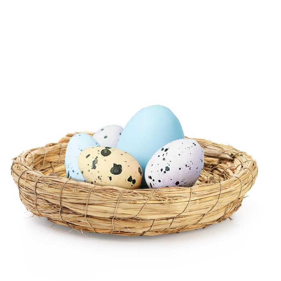 Pet supplies Items 2pcs