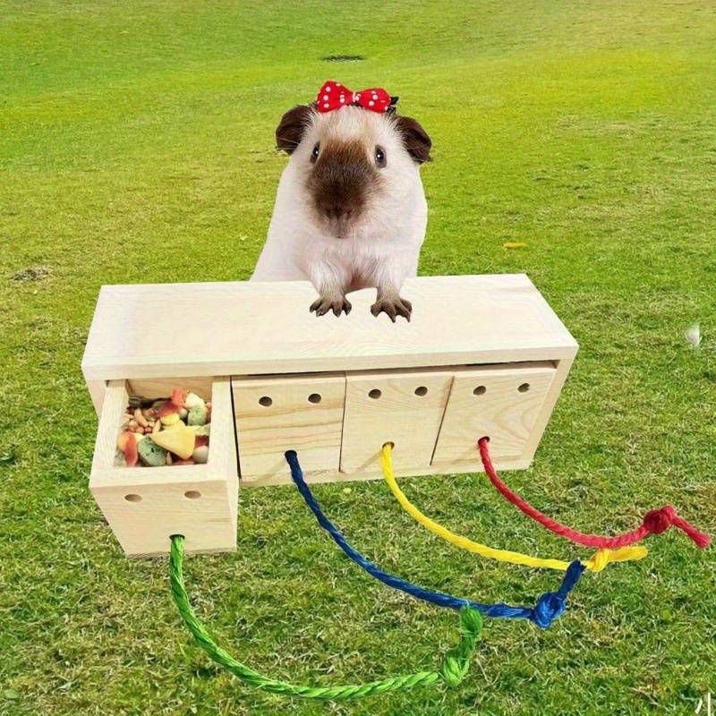 Pet Supplies Quantity 1Pc
