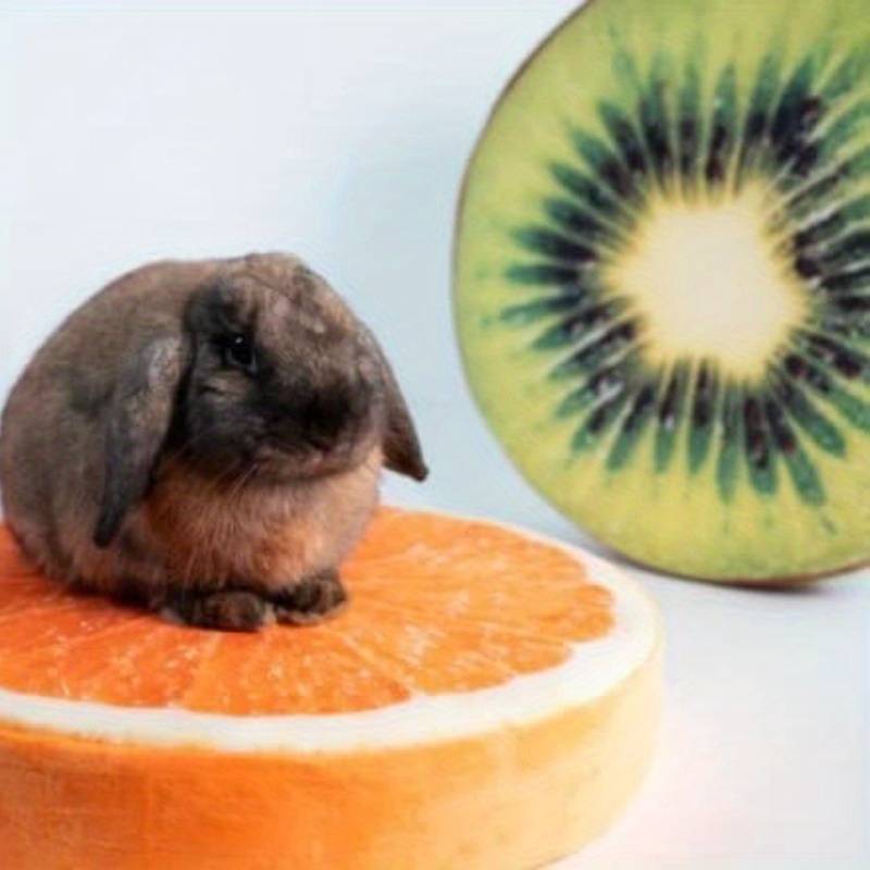 Pet supplies Style Kiwi