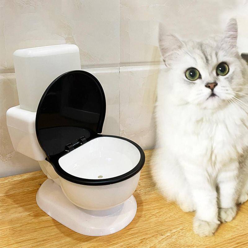 Pet supplies color Polychromatic