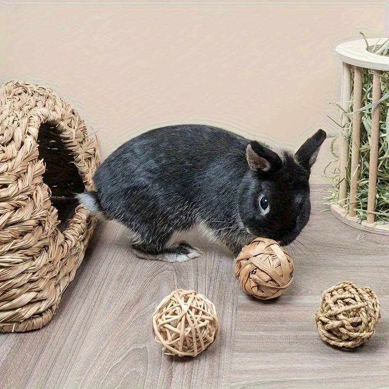 Pet Supplies Color Assorted Quantity 6Pcs
