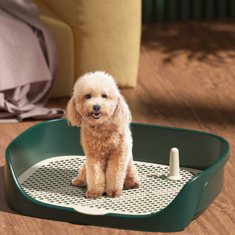 Pet supplies color Vintage Blue