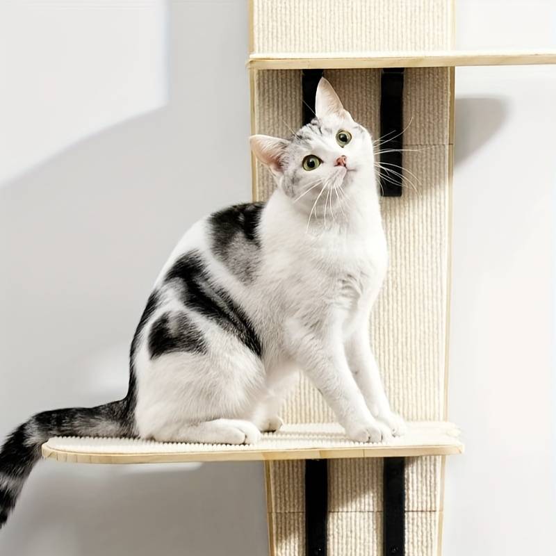 Pet supplies Model 1pc
