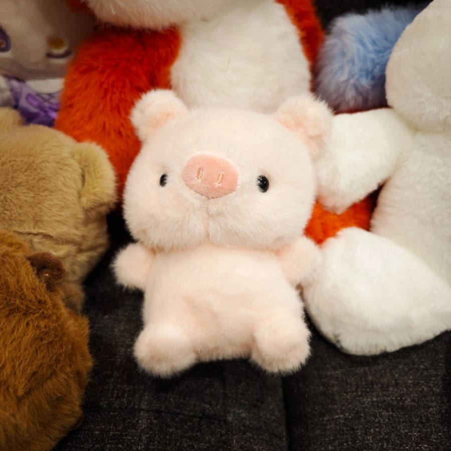 Plush Toyss color Little Bear