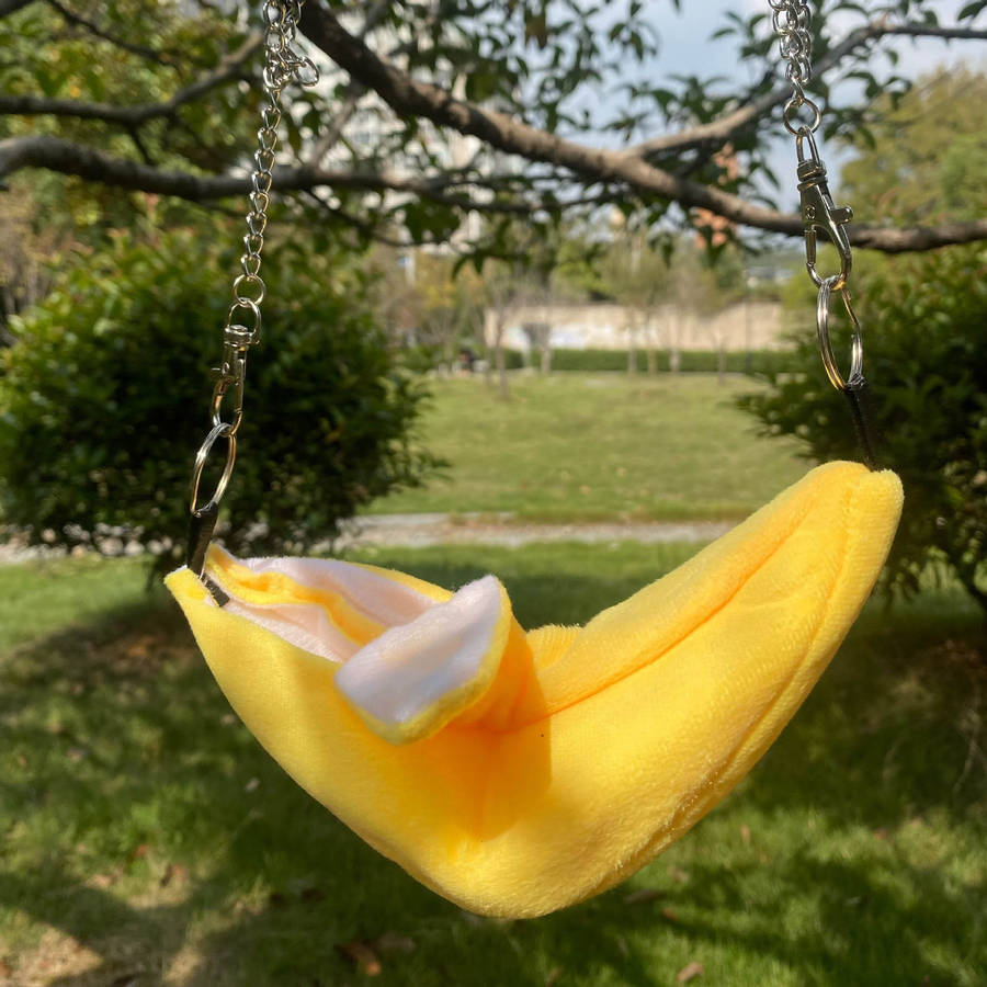 Pet Supplies Color Yellow