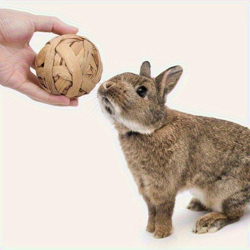 Pet Supplies Color Assorted Quantity 6Pcs