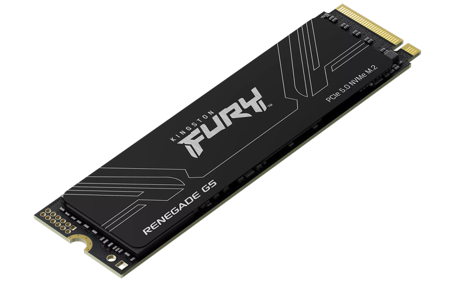 Kingston nGff 8T FurY Reneg G5