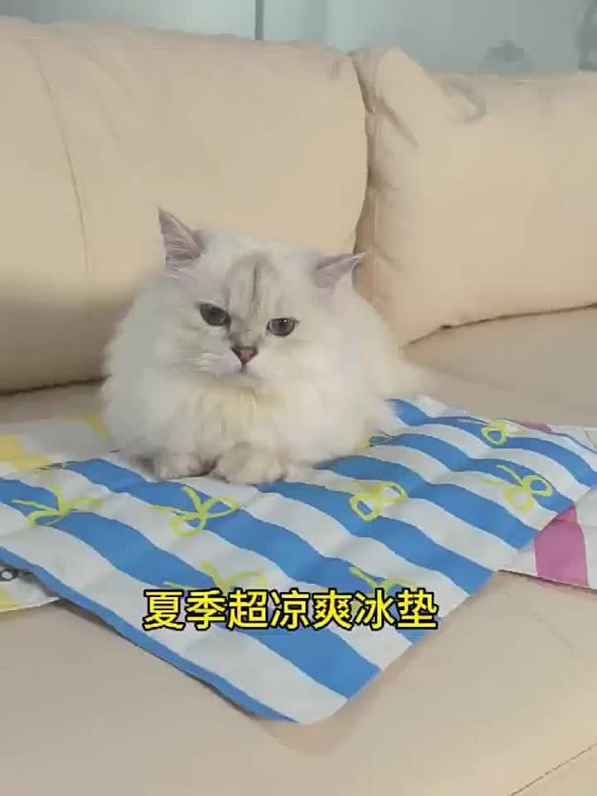 1piece Yellow Cooling Pad
