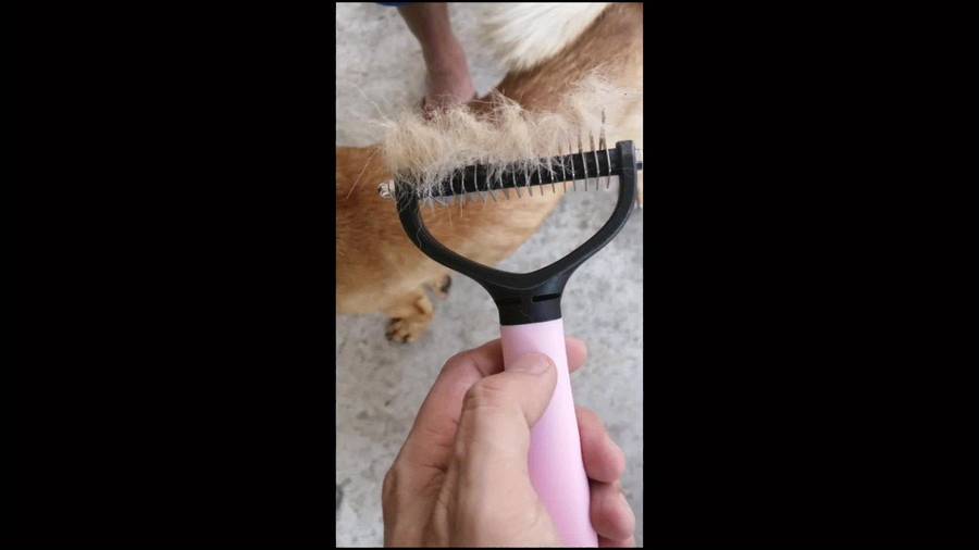 1pc Random Pink, Blue Pet Comb
