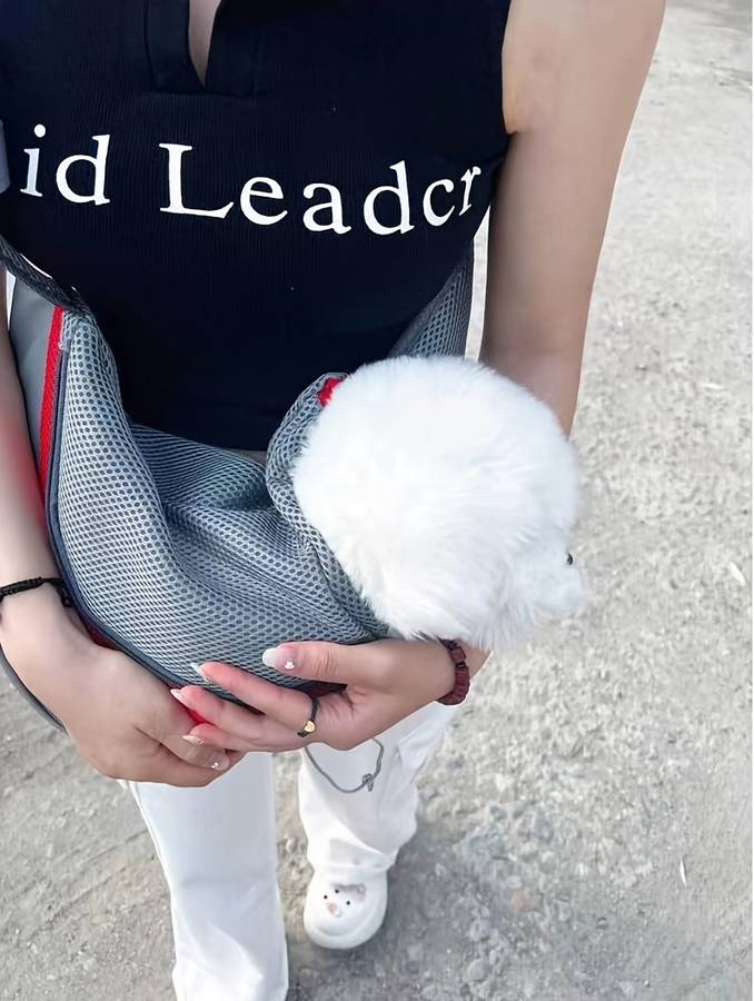 1pc Yellowsize L Size 42cm*26cm Pet Bag
