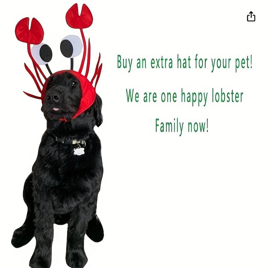 Cute Funny Crab Hat