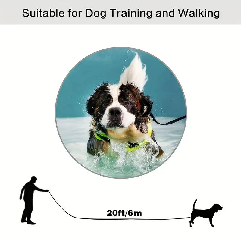 Long Dog Leash