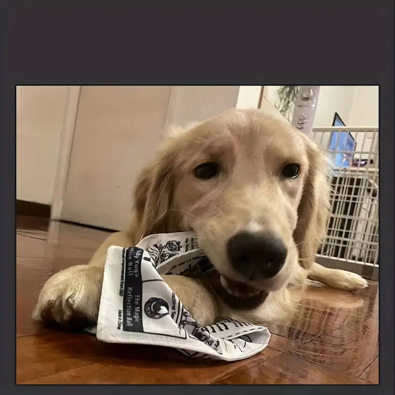 Pet Chew Toy