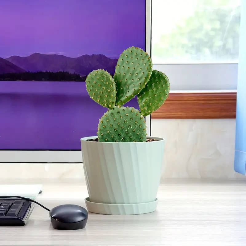 6 6-Inch Garden Pots White Pitting