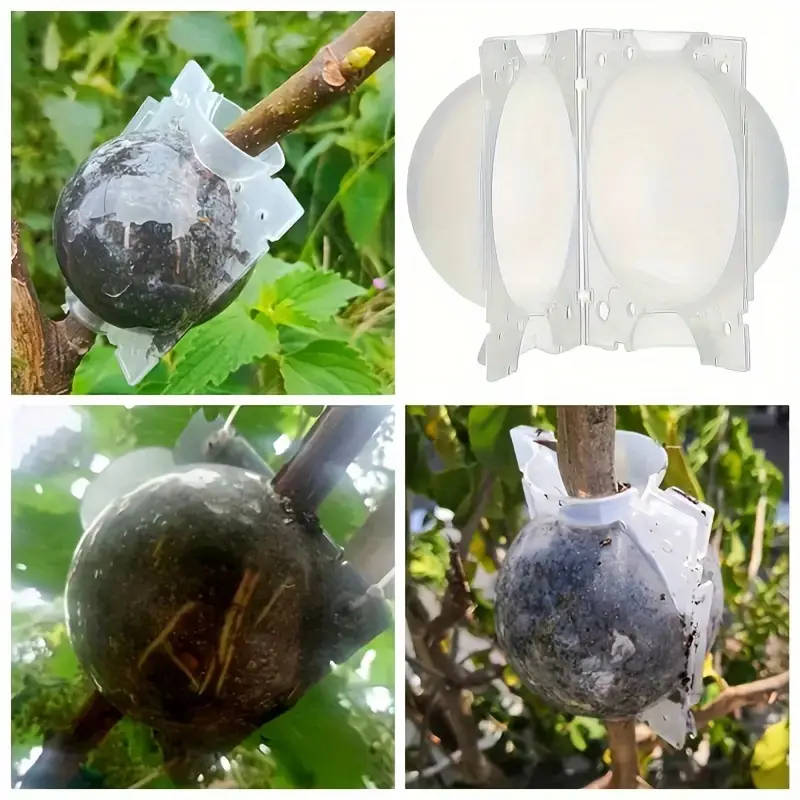 5pcs Plant Root Grow Box