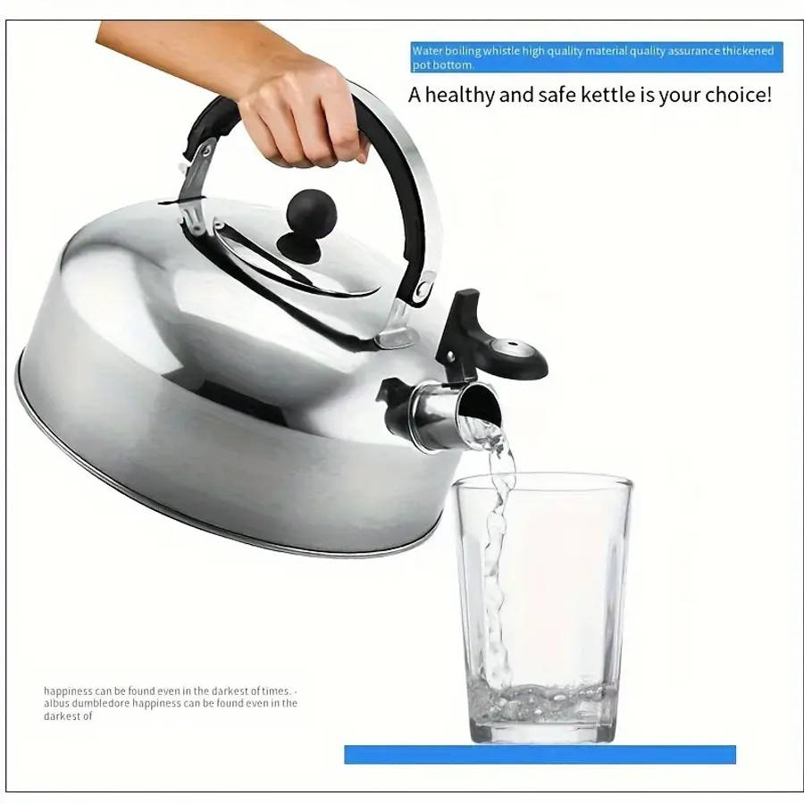 1 Piece Stainless Steel Teapot