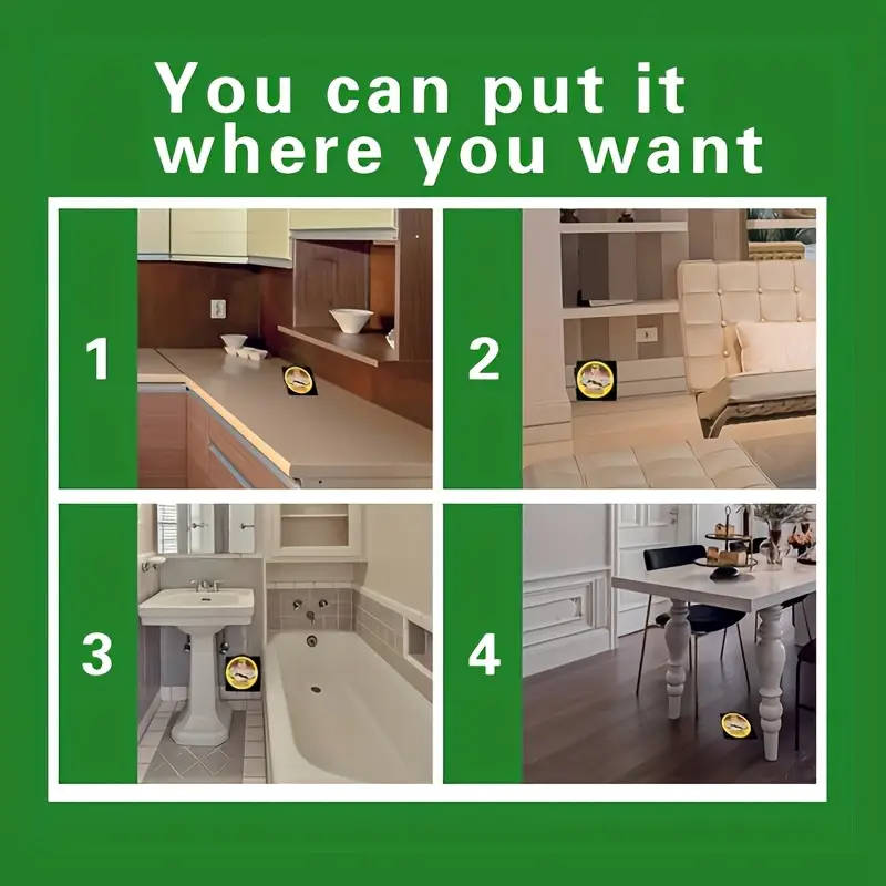 3 Ant Traps