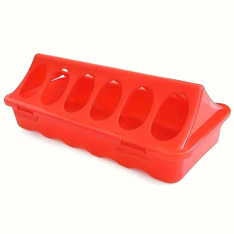 Quail Pigeon Feed Box