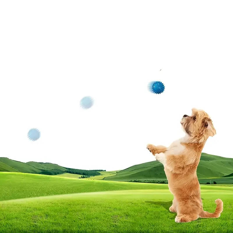 Pet Chew Toys 1pc