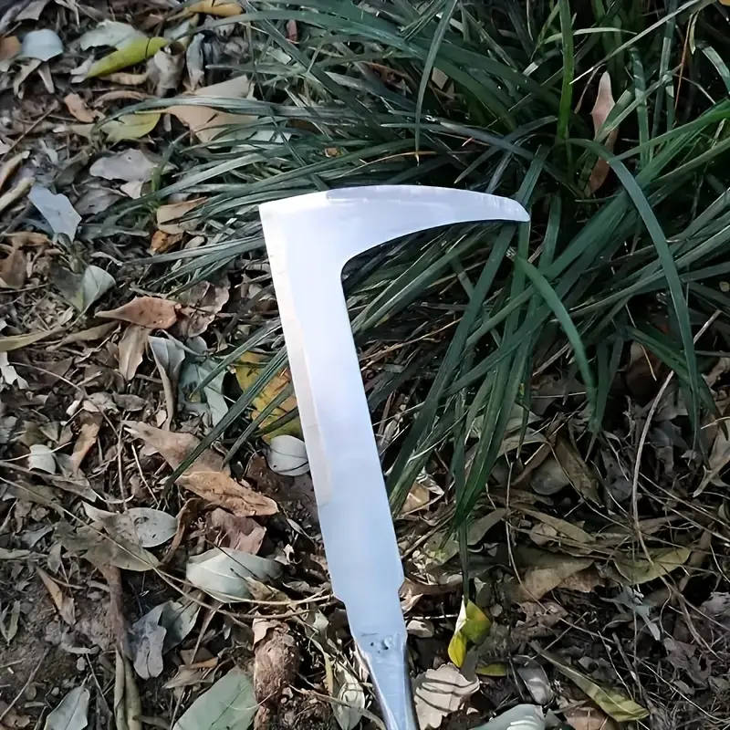 1 Stainless Steel Weeding Tool