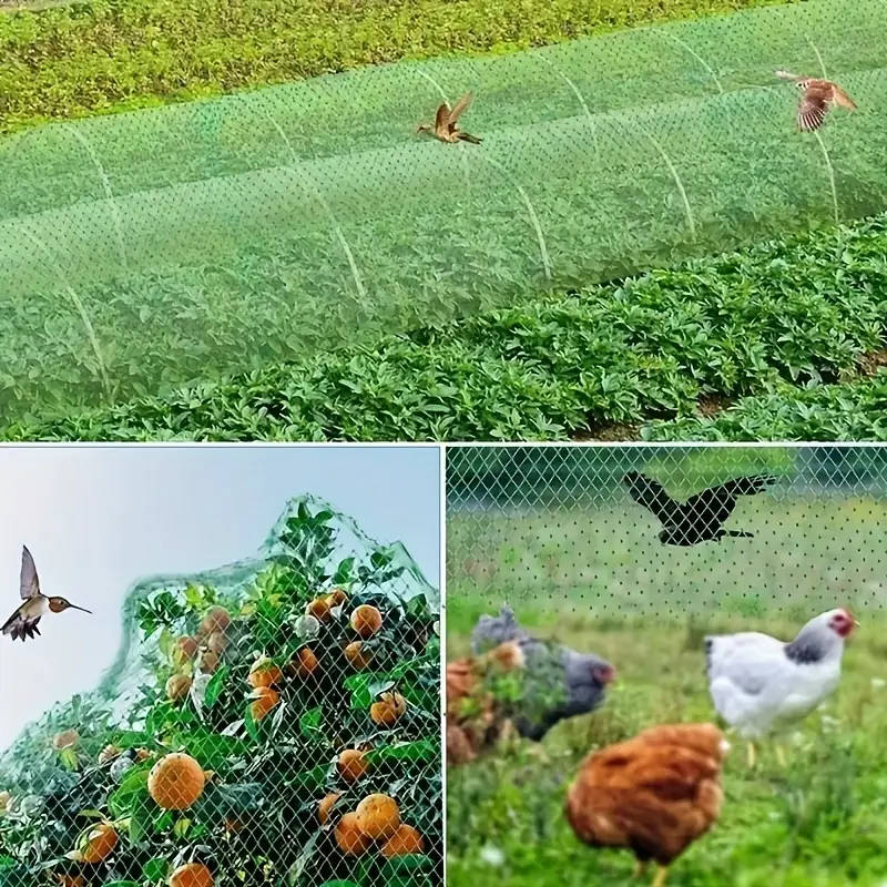 2x10m Garden Bird Netting Protects Vegetables Fruit Trees