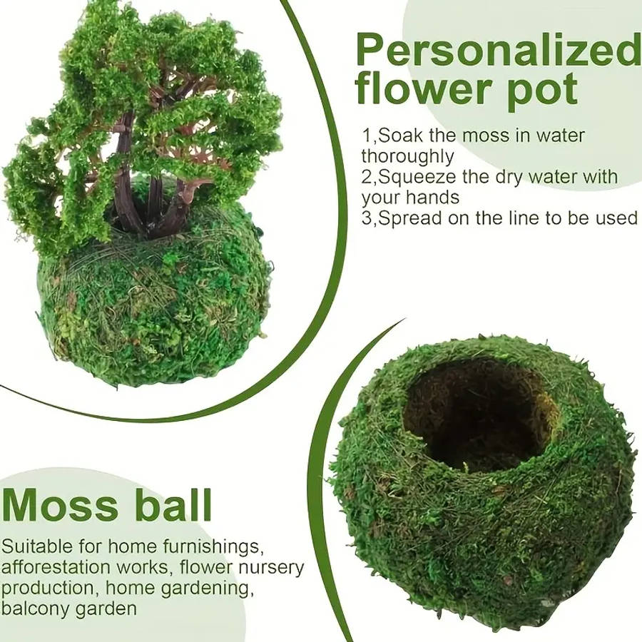 Exquisite Moss Plant Planting Container