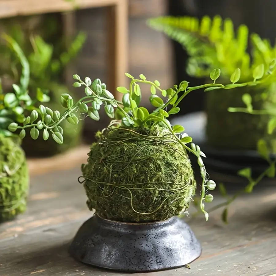 Exquisite Moss Plant Planting Container