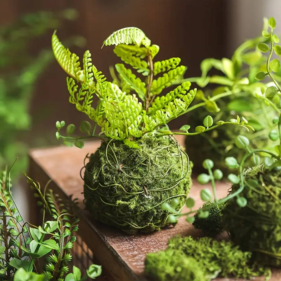 Exquisite Moss Plant Planting Container