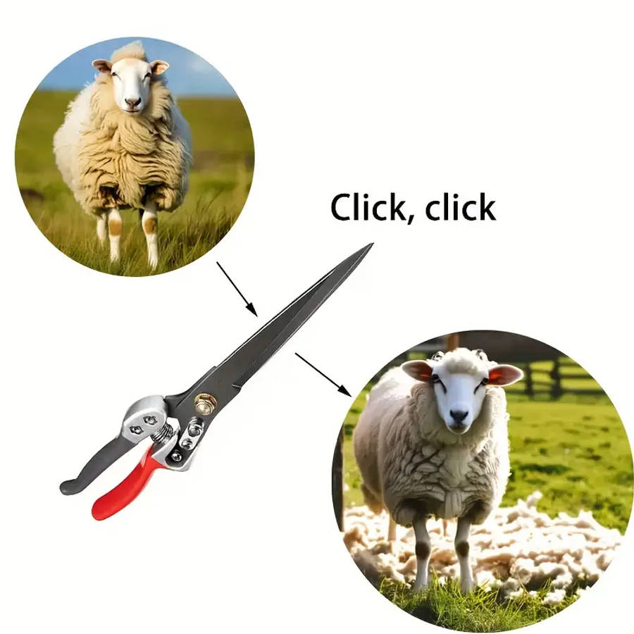 1 Piece Of Heavy-Duty Wool Shears