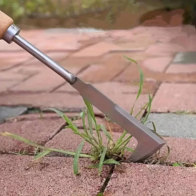 1 Stainless Steel Weeding Tool