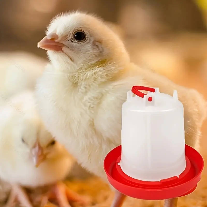 4-Piece Plastic Poultry Drinker Kit