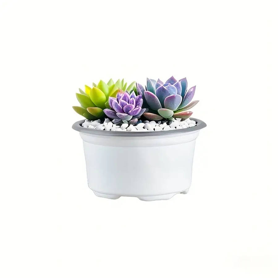 12-Pack Convenient And Simple White Plastic Succulent Plant Pots