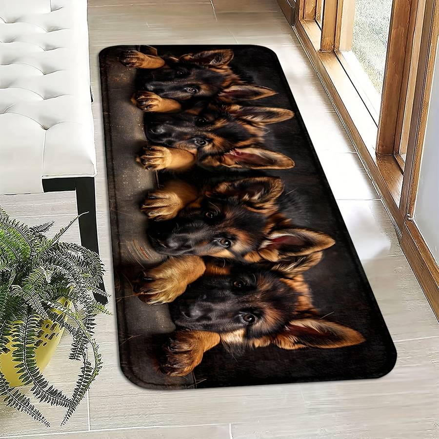 1Pc 45x75cm Floor Mat