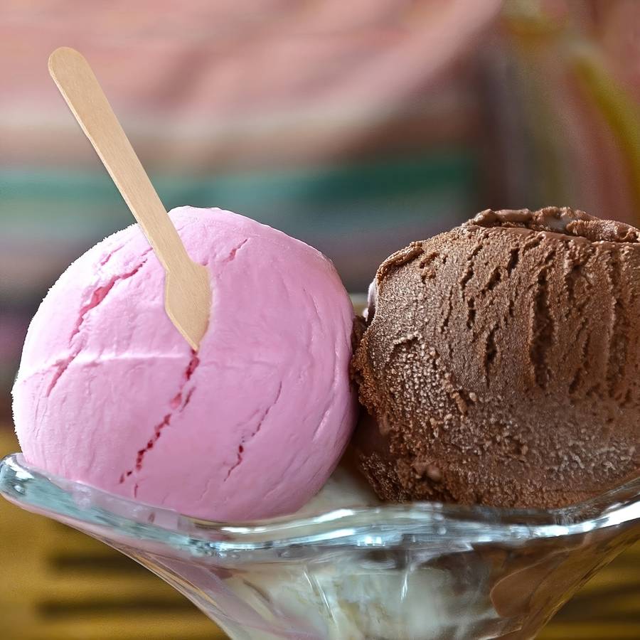 100pcs Elegant Mini Square Wooden Spoons 3.75  Perfect for Ice Cream Desserts Tastings