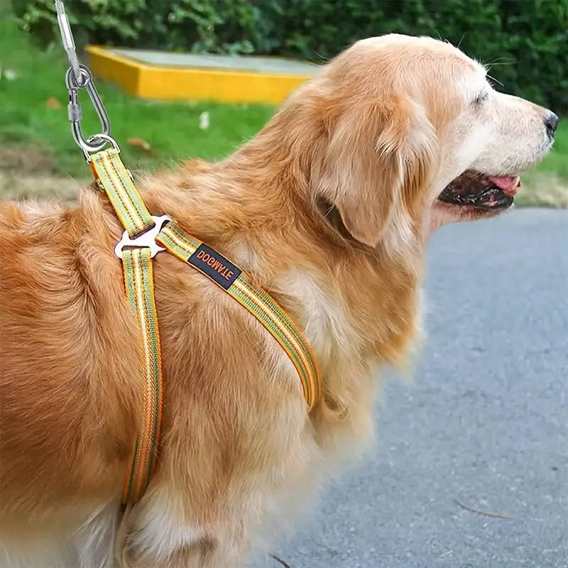 Heavy Duty Dog Leash