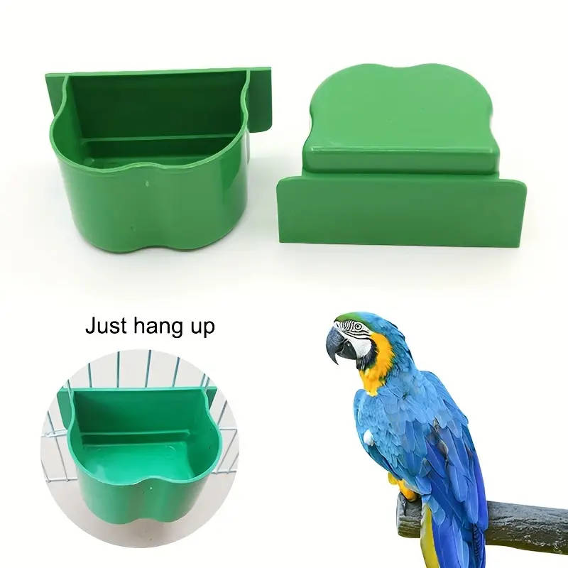 Bird Feeder