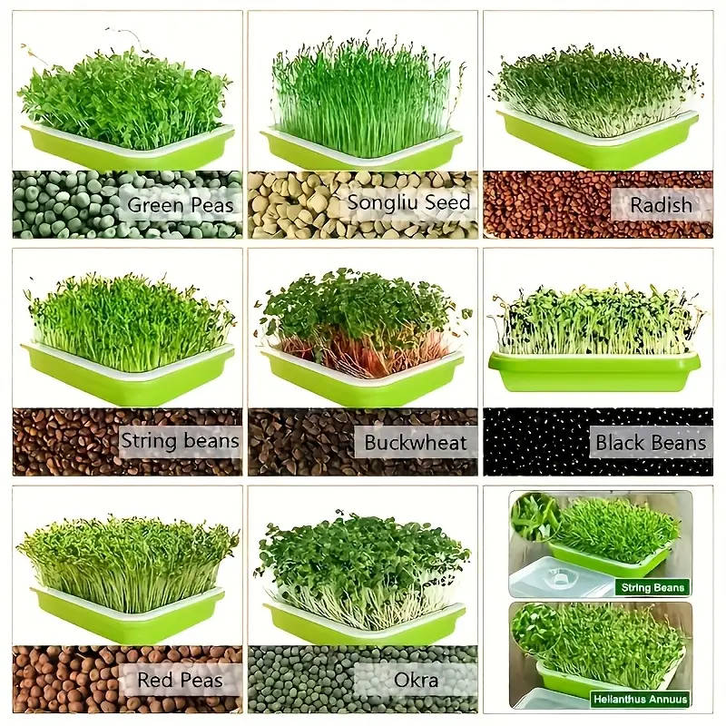 2-Piece Rapid Seed Germination Kit