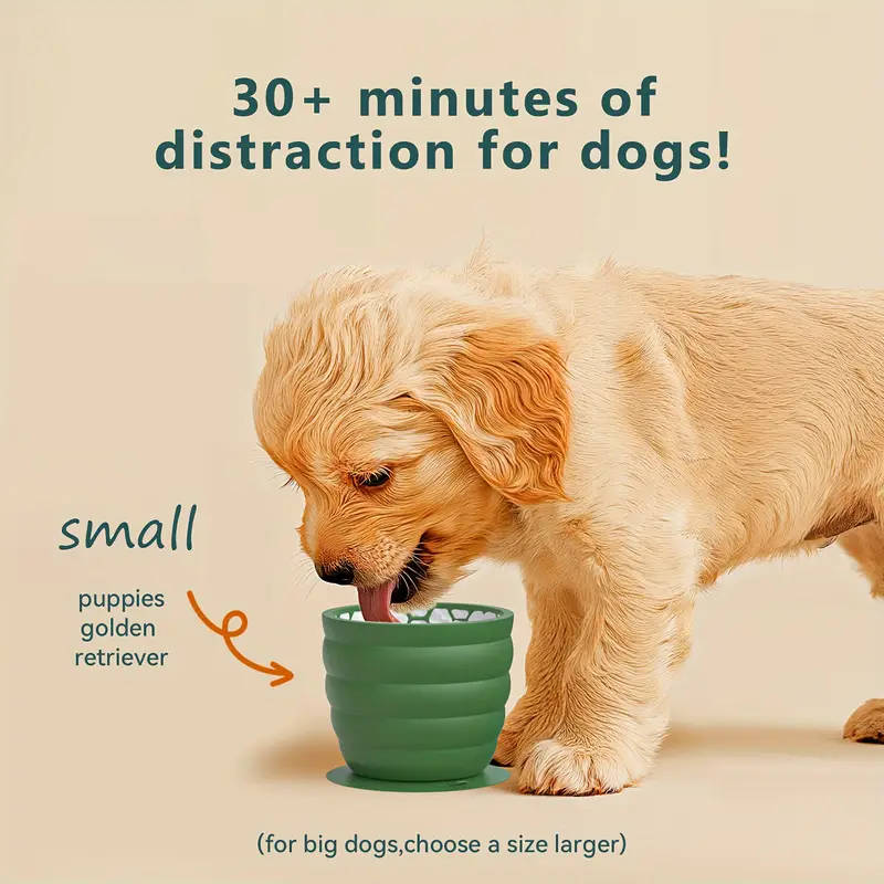 Dog Bowl