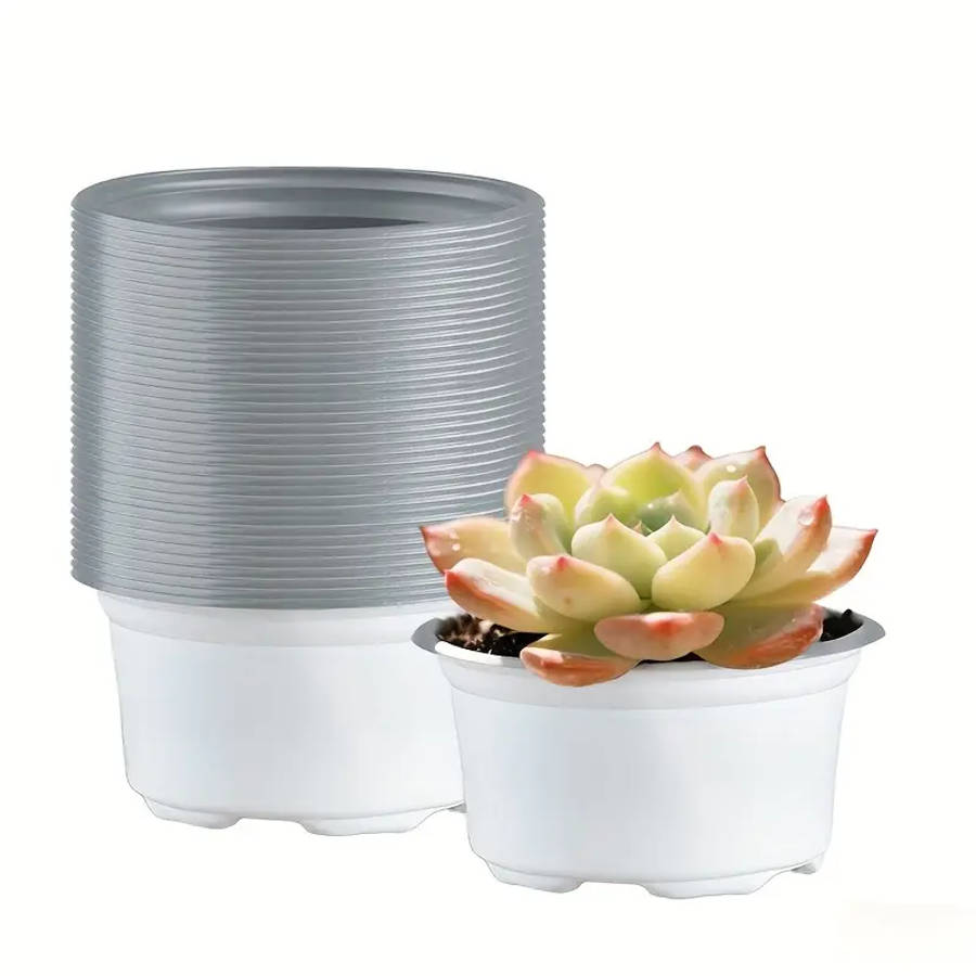 12-Pack Convenient And Simple White Plastic Succulent Plant Pots