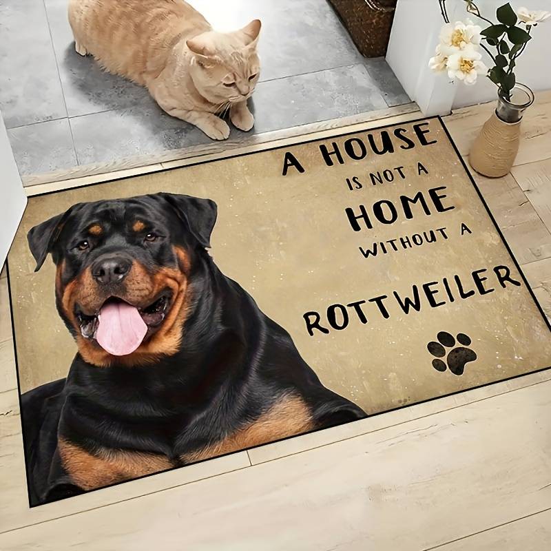 1Pc 15x23inch 40x60cm Floor Mat